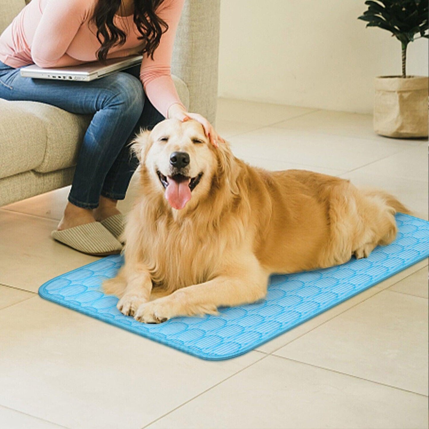Cool Comfort Pet Cooling Mat