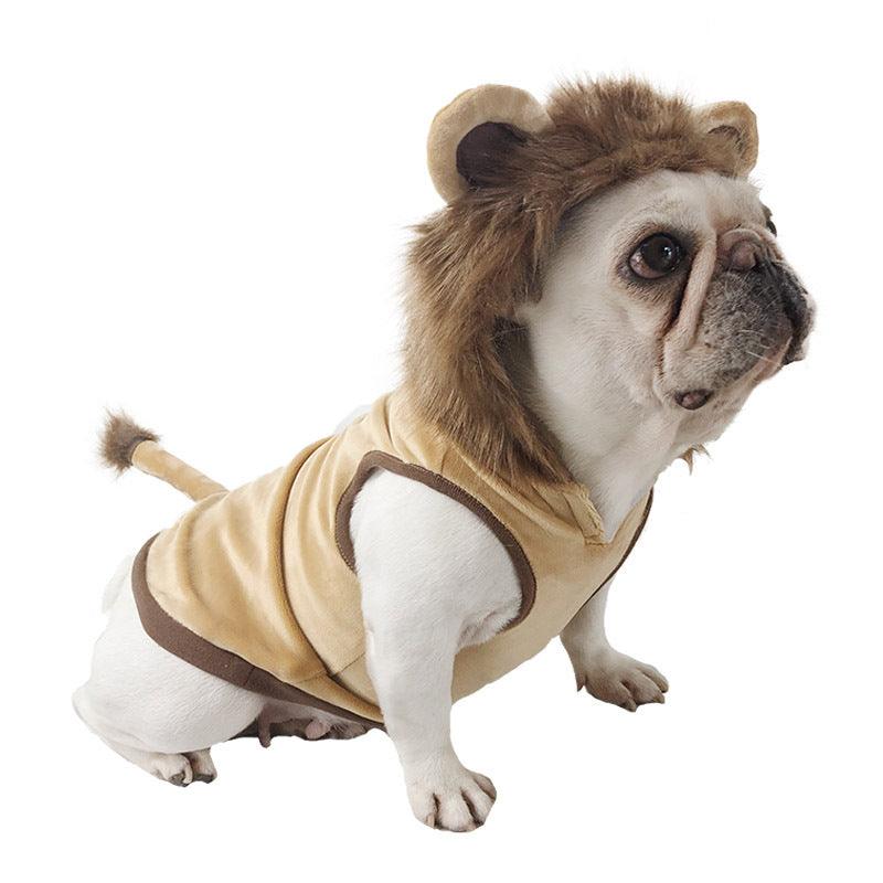 Pet Costume: Lion King Transformation Outfit For Dogs And Cats